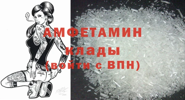 ГАЛЛЮЦИНОГЕННЫЕ ГРИБЫ Абаза