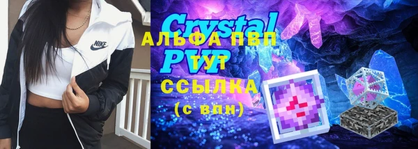 СК Абинск