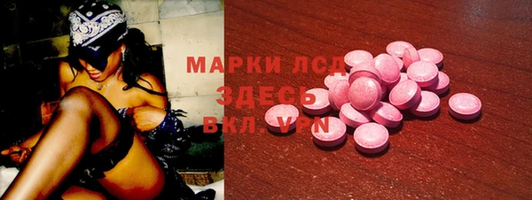 apvp Алзамай