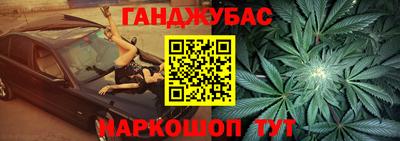 альфа пвп Новодвинск