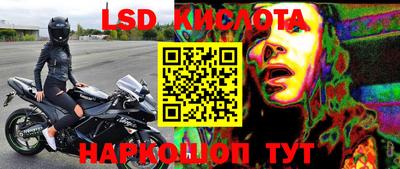 альфа пвп Новодвинск