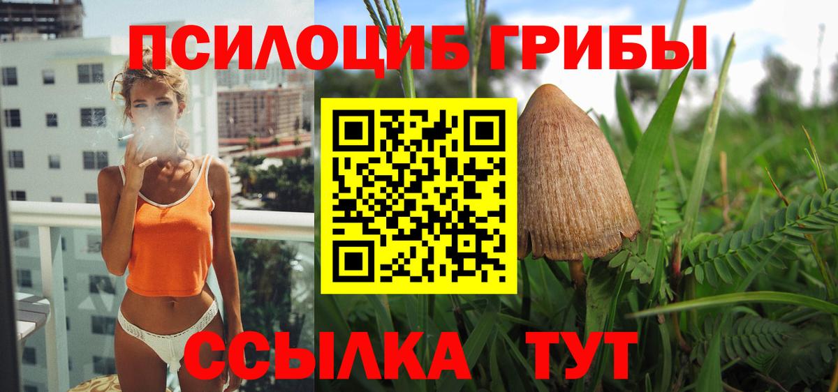 Псилоцибиновые грибы прущие грибы Вологда
