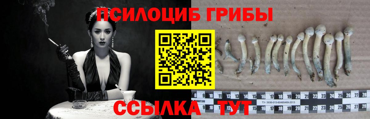 Галлюциногенные грибы Psilocybine cubensis  Вход с VPN  Вологда 